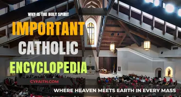 The Holy Spirit's Role in Catholic Faith and Tradition Explained