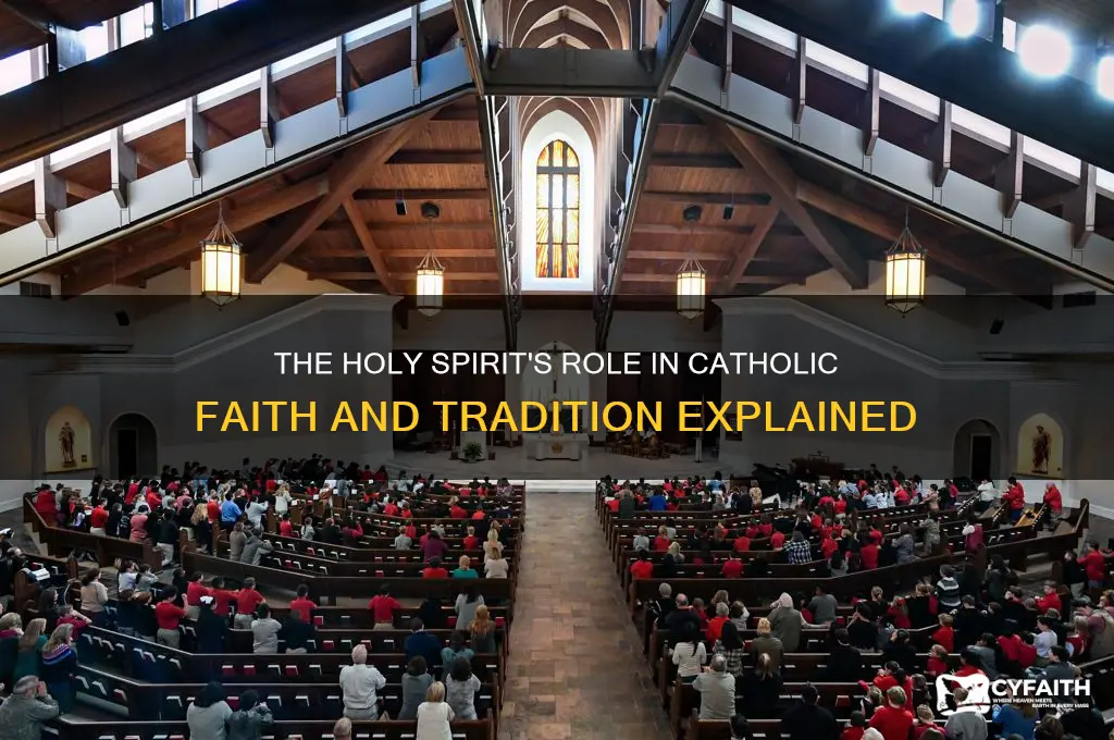 why is the holy spirit important catholic encyclopedia