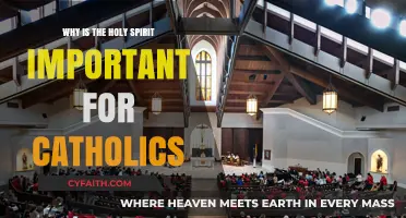 The Holy Spirit's Role in Catholic Faith and Life