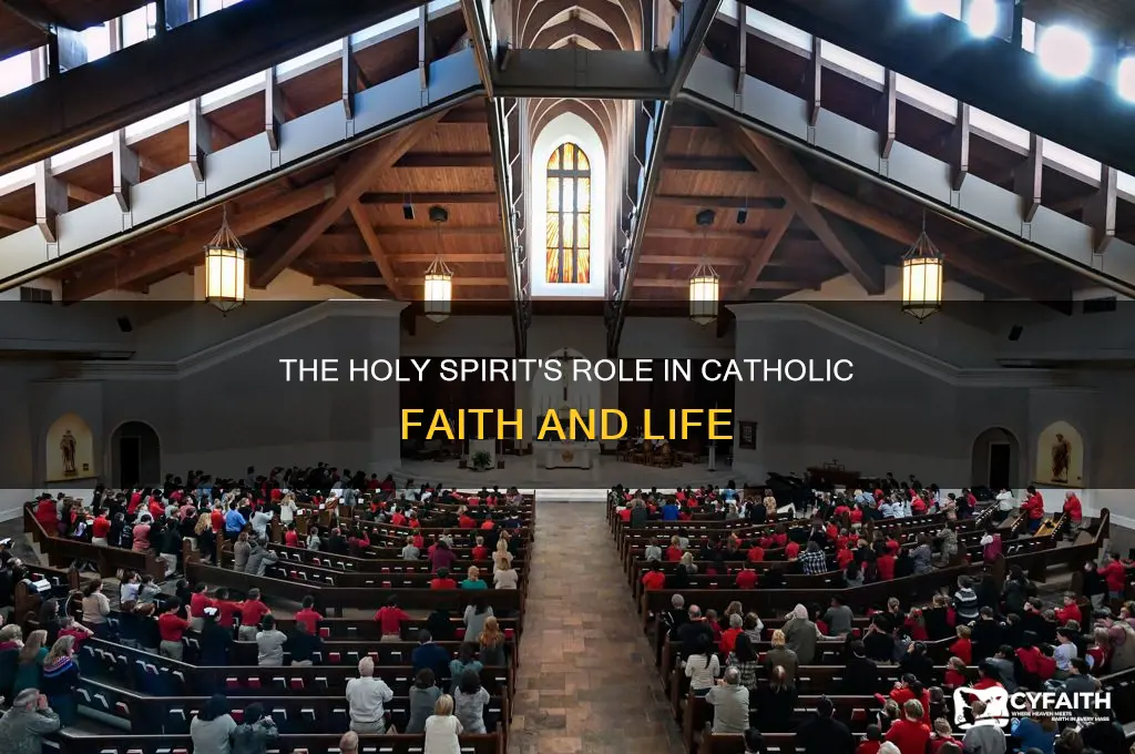 why is the holy spirit important for catholics