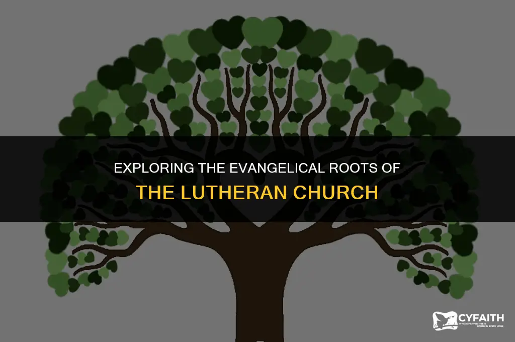 why is the lutheran church evangelical