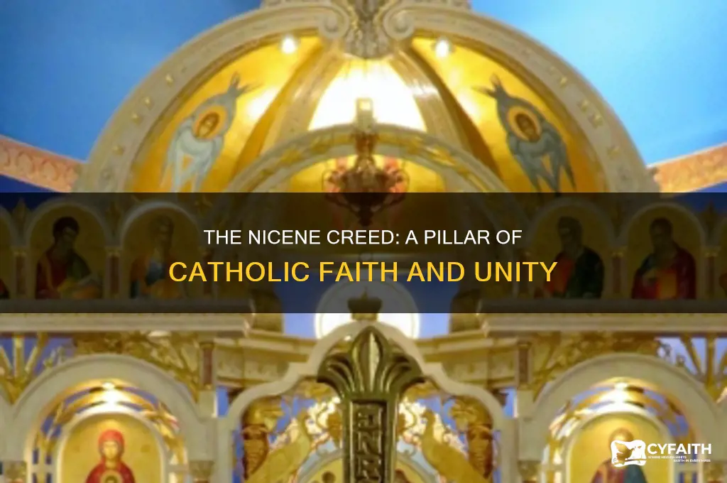 why is the nicene creed important to catholics