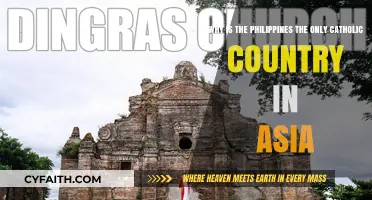 The Philippines' Unique Catholic Identity: A Historical and Cultural Exploration