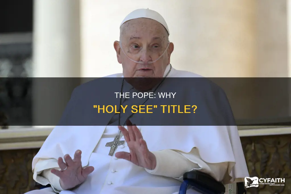 why is the pope called the holy see