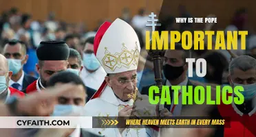 The Pope's Role: A Spiritual Leader for Catholics Worldwide