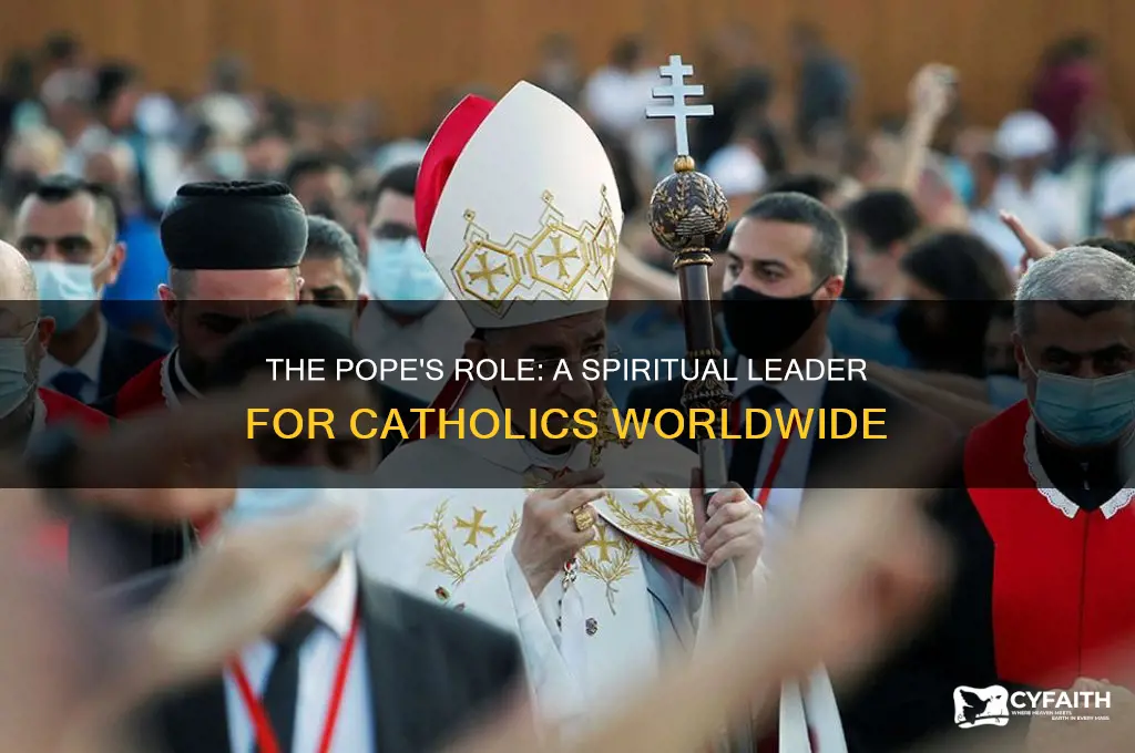 why is the pope important to catholics