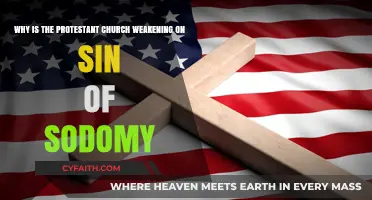 Decline in Moral Stance: The Protestant Church and the Sin of Sodomy