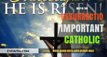 The Catholic Faith's Core: Understanding the Resurrection's Significance