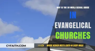 Unveiling the Crisis: Sexual Abuse in Evangelical Churches