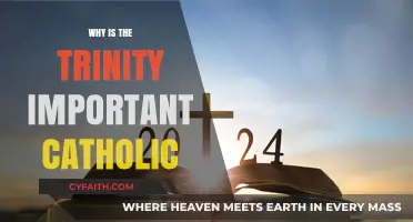 Understanding the Catholic Trinity: Its Significance and Role in Faith