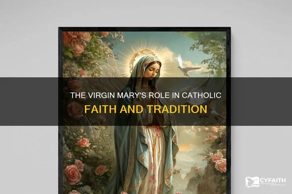 why is the virgin mary important to catholic religi9n