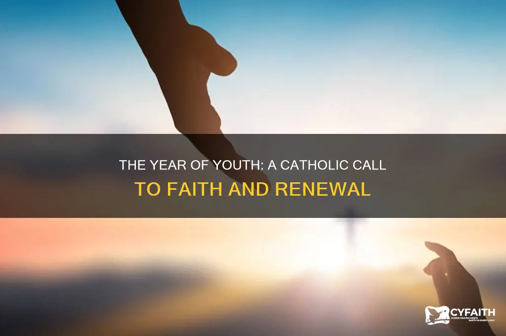 why is the year of youth important to catholics