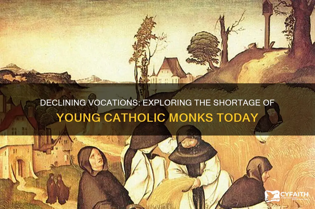 why is there a decline in young catholic monks