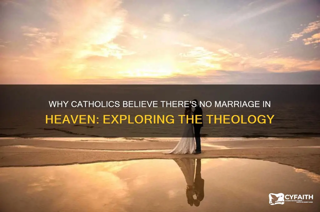 why is there no marriage in heaven catholic
