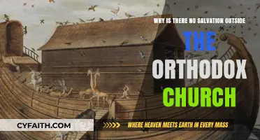 Salvation's Exclusive Path: Exploring Orthodoxy's Unique Claim to Divine Grace