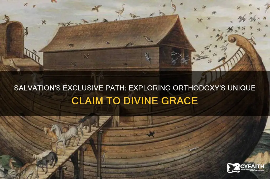 why is there no salvation outside the orthodox church