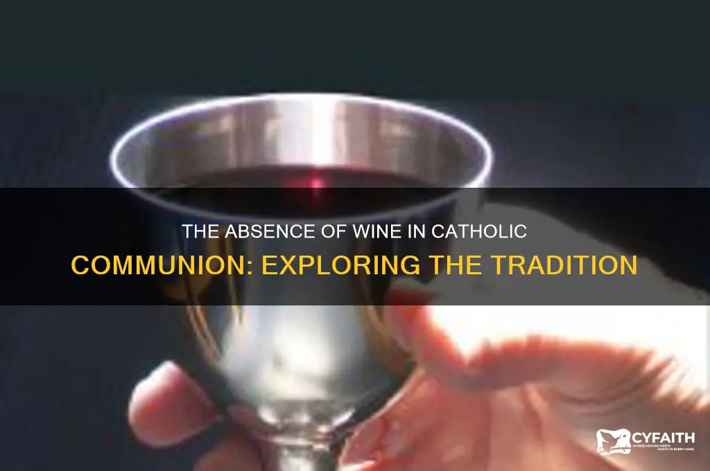 why is there no wine in catholic communion