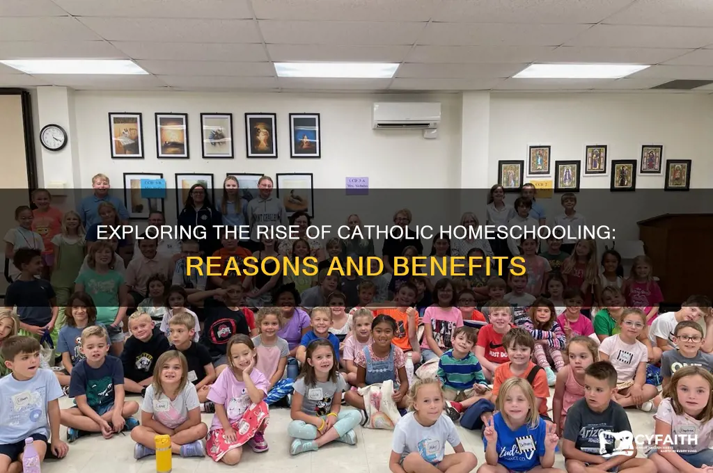 why is there solityle catholic homeschooaterial