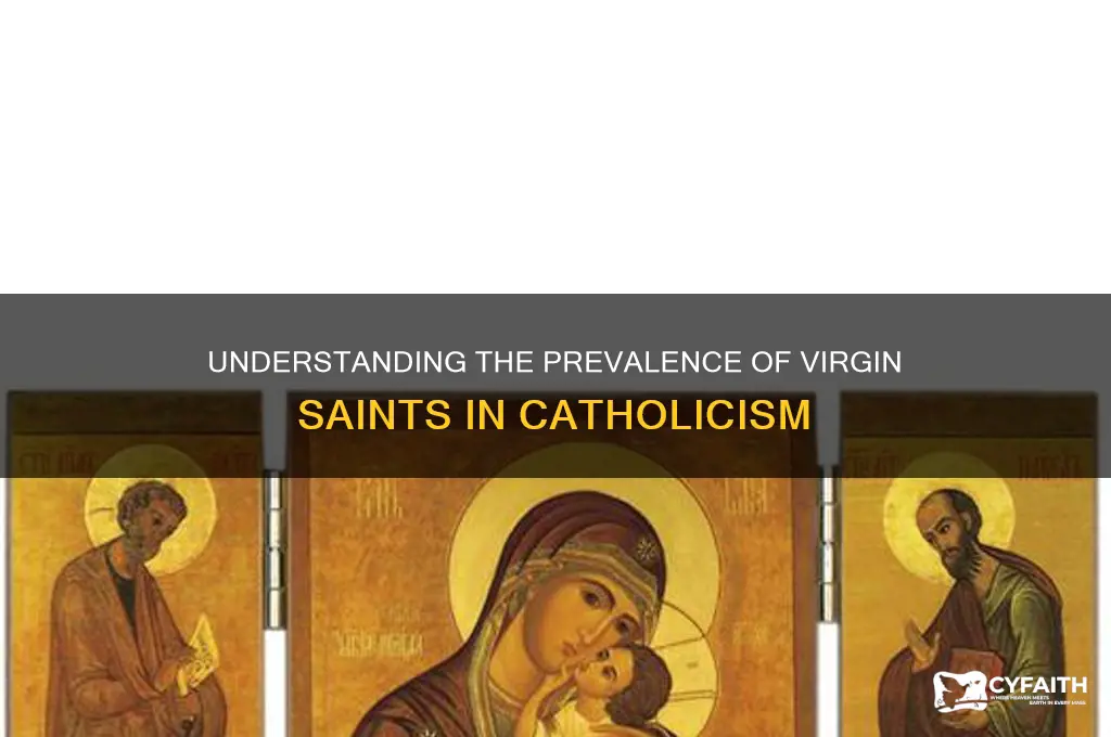 why is there son may virgins in the catholic religion