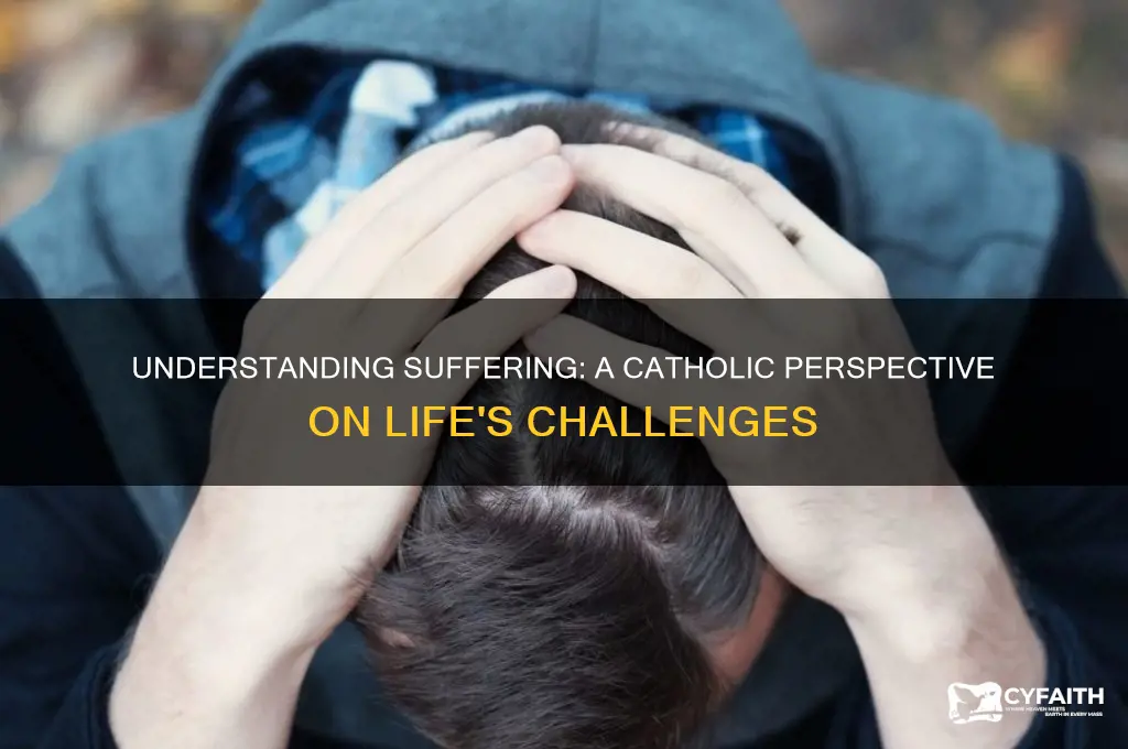 why is there suffering in the world catholic view