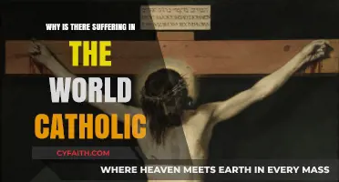 Understanding Suffering: A Catholic Perspective on Pain and Redemption