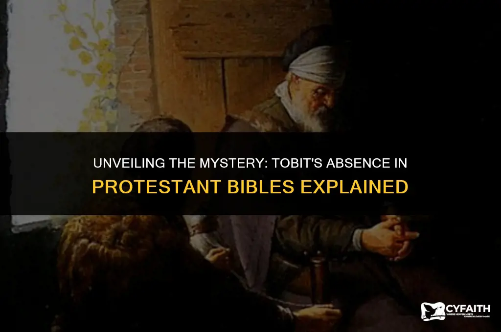 why is tobit not in the protestant bible