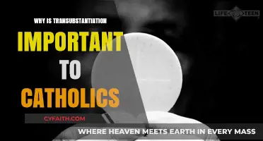 Transubstantiation: The Sacred Heart of Catholic Eucharist and Faith