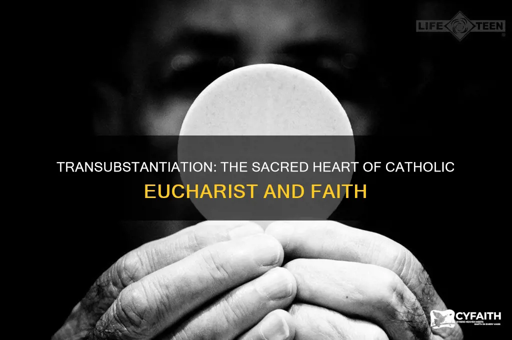 why is transubstantiation important to catholics