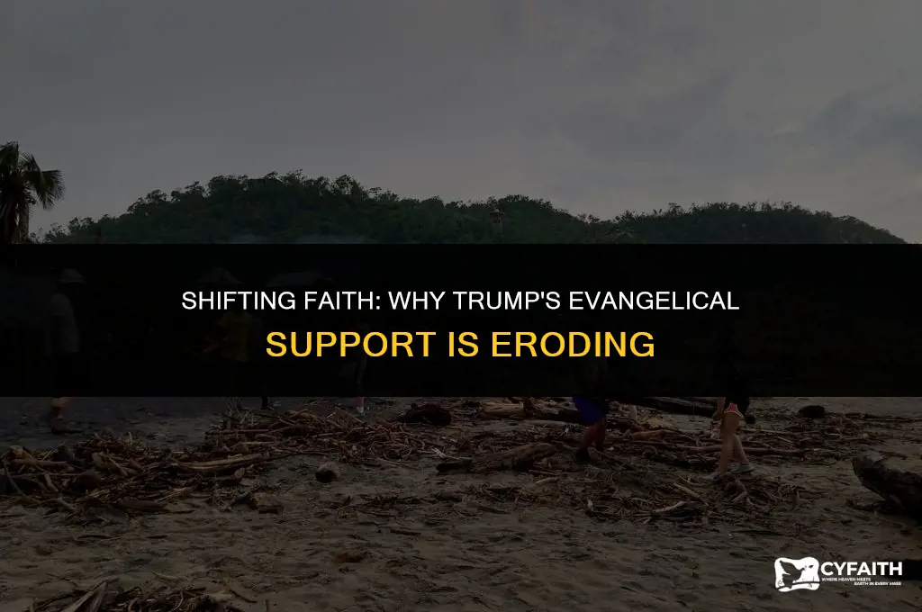 why is trump losing dupport with evangelicals