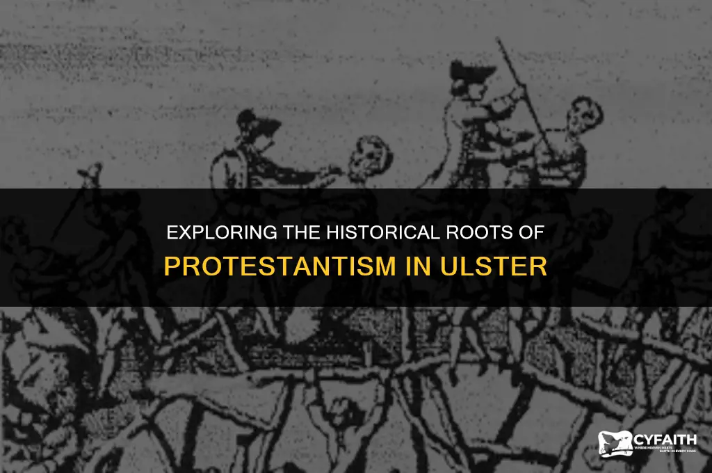 why is ulster protestant