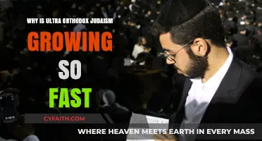 The Rapid Rise of Ultra-Orthodox Judaism: Factors Driving Growth