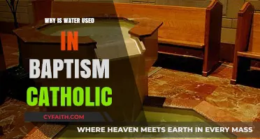 The Sacred Symbolism of Water in Catholic Baptism Explained