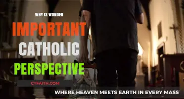 The Catholic Perspective: Why Wonder is Essential for Faith