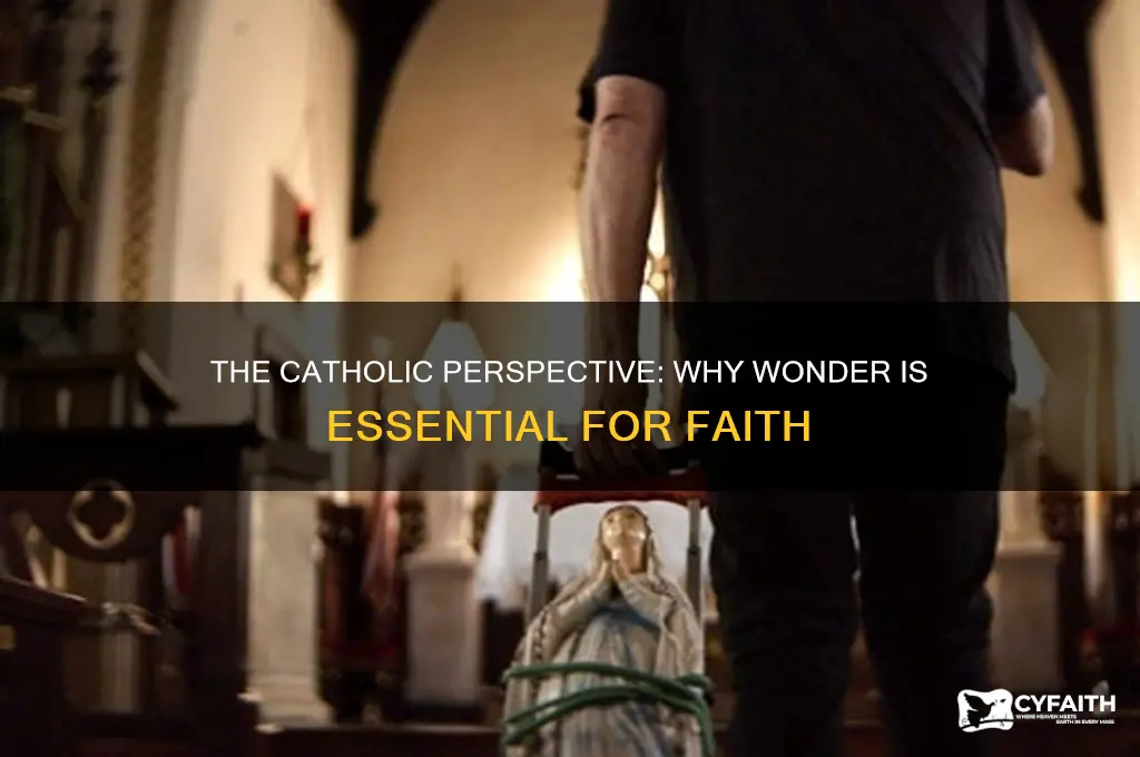 why is wonder important catholic perspective