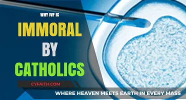 IVF and Catholic Morality: Exploring the Church's Ethical Concerns