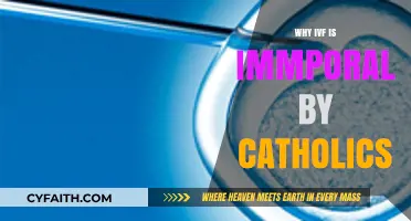 IVF and Catholic Ethics: Exploring the Moral Concerns