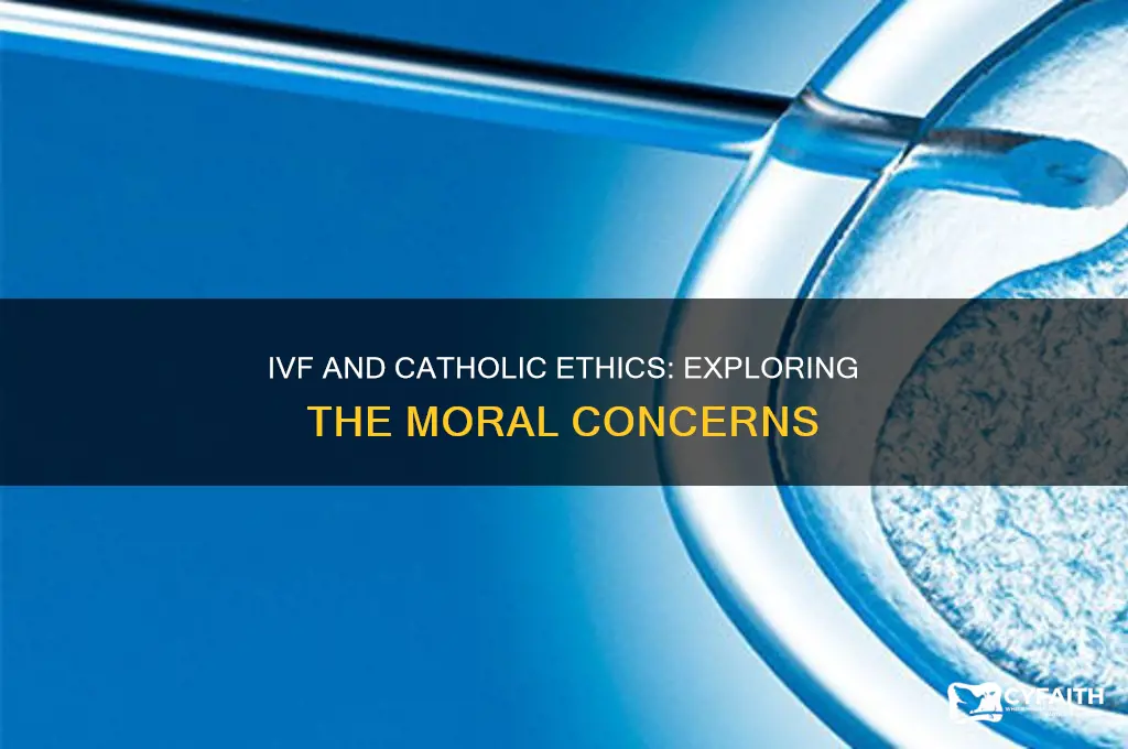 why ivf is immporal by catholics