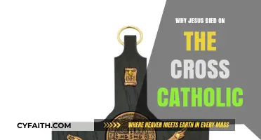 Why Jesus Died on the Cross: Catholic Perspective Explained