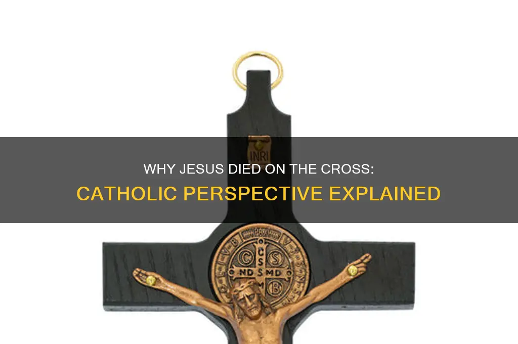 why jesus died on the cross catholic