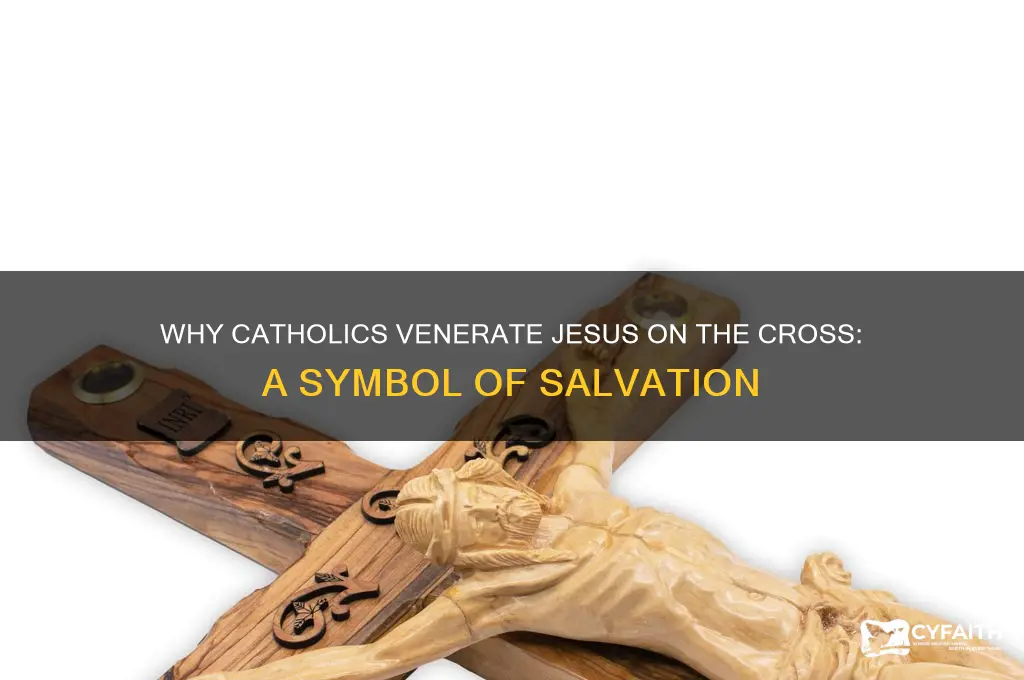 why jesus is on the chross in catholics