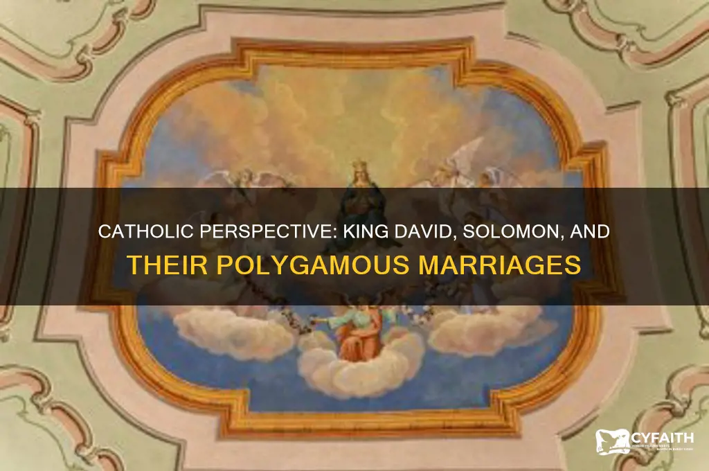 why king david and solomon had many wives catholic