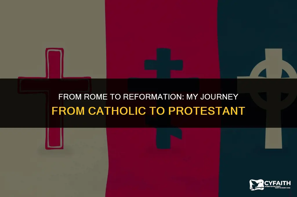 why left catholic church to protestant