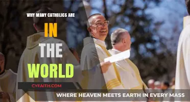 The Global Catholic Presence: Understanding Its Widespread Influence and Appeal