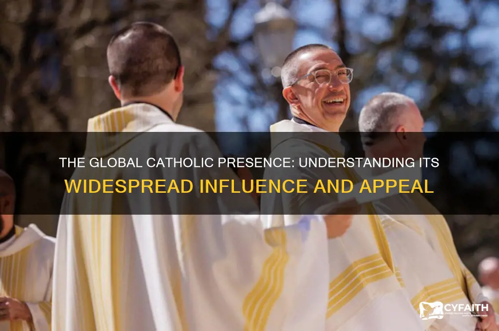 why many catholics are in the world