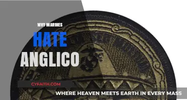 Why Marines Despise Anglico: Unraveling the Military's Deep-Seated Resentment