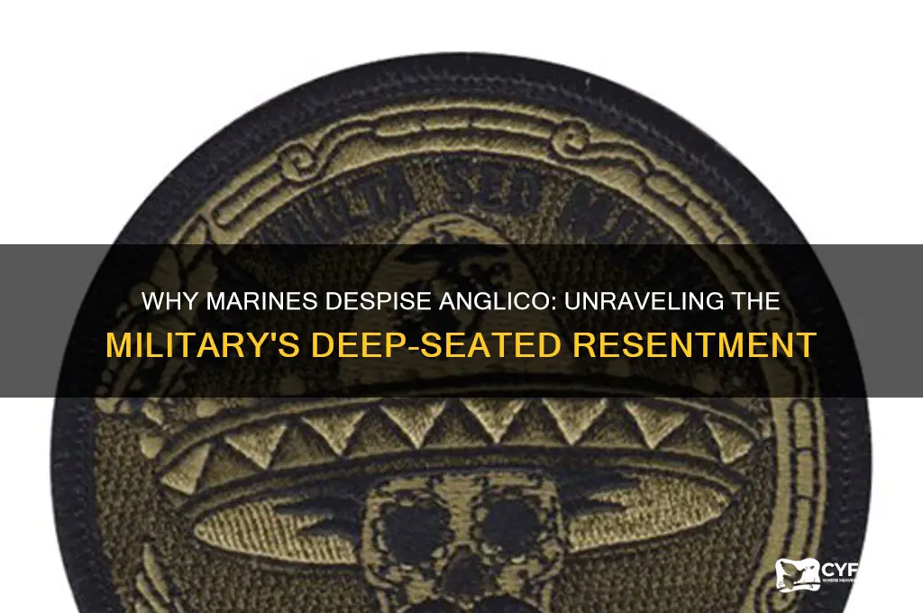 why marines hate anglico