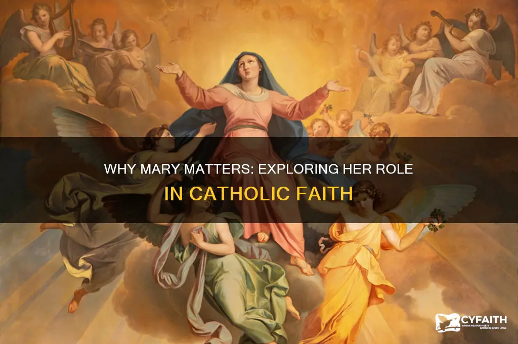 why mary catholic
