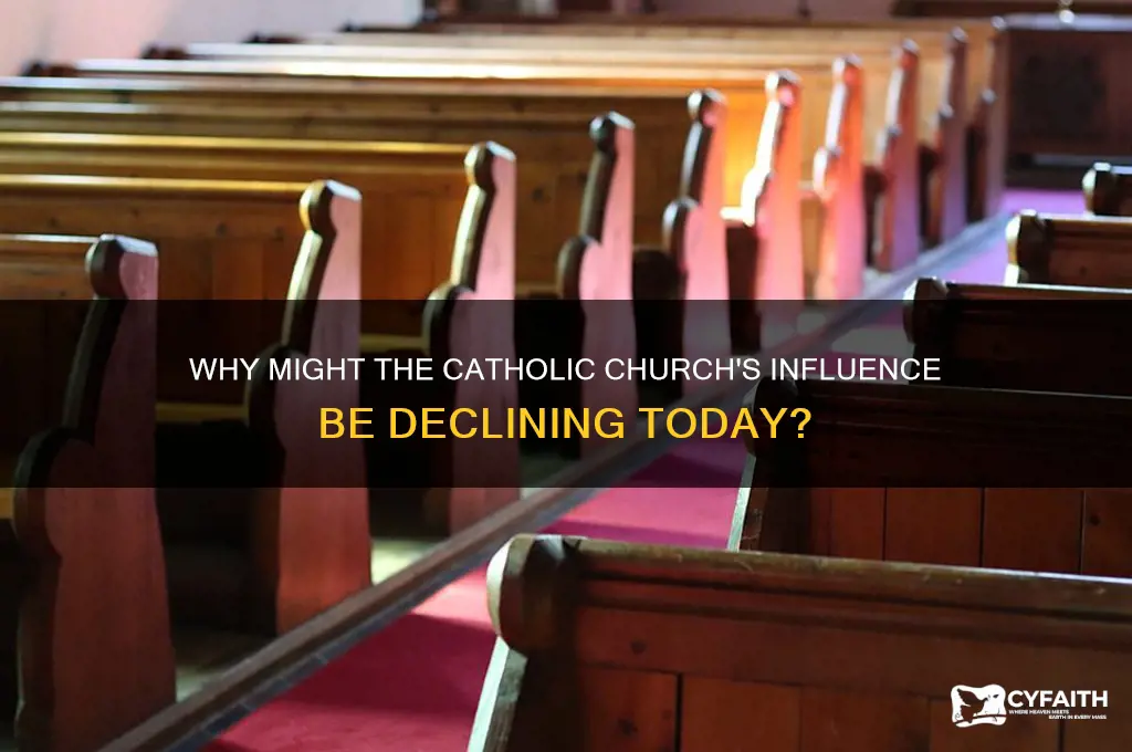 why might the catholic