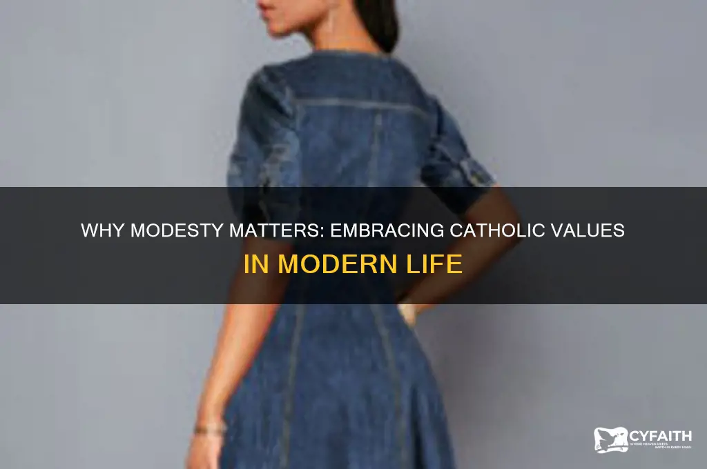 why modesty matters catholic