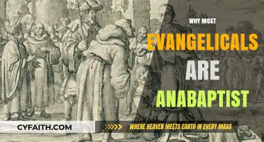 Exploring the Anabaptist Roots in Modern Evangelicalism